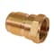 Everflow 3/4" Flare x FIP Adapter Pipe Fitting; Brass F46-34 - alternate 1